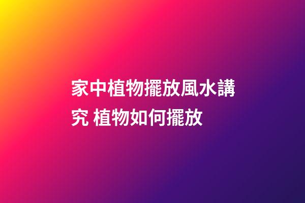 家中植物擺放風水講究 植物如何擺放